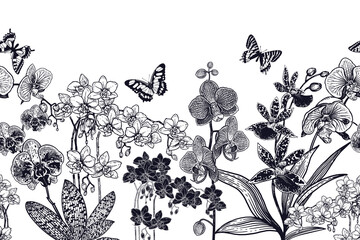 Seamless background with orchids and butterflies. Black and white. Vector.