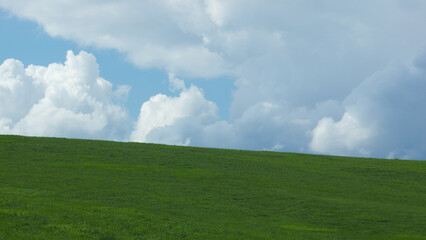 Fototapeta premium green field and sky