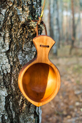 Traditional Finnish wooden mug "Kuksa" hangs on a tree in an autumn forest at sunset