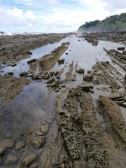 Costas rocosas en las playas cubiertas de conchas marinas. Vista panorámica de un paisaje marino