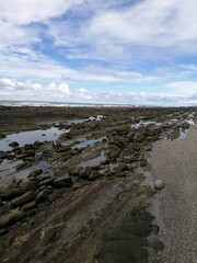 Fototapeta na wymiar Costas rocosas en las playas cubiertas de conchas marinas. Vista panorámica de un paisaje marino