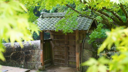 Fototapeta na wymiar Japanese temple garden, moss gate and bridge