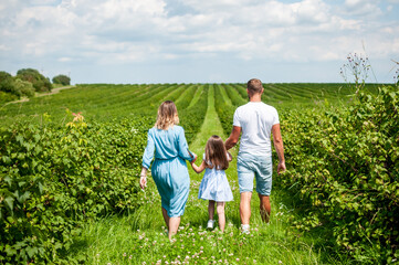 Fototapeta premium family walks in the currant garden