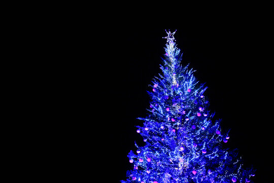 クリスマスツリー