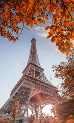 Fototapeta na wymiar Eiffel Tower with autumn leaves in Paris, France