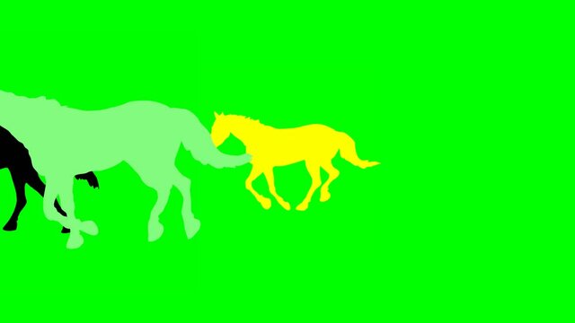 COLORED HORSES RUNNING
Animated galloping horses passes from right to the left.Hand drawn animation.HD 1080.Green screen /alpha matte.