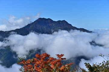 Fototapeta premium 四国の名山、石鎚山の紅葉