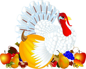 Day of Thanksgiving turkey on white background.