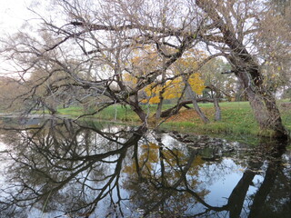 Autumn park landscape. Trees around water. Bare branches and blue sky reflecting in pond. Seasonal countryside photo. Outdoor forest image.