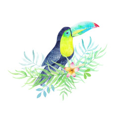 toucan, cute bird, watercolor in tropical leaves