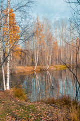 September landscape near the forest lake in the autumn day