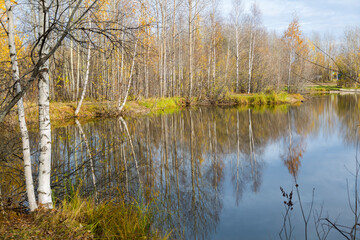 September landscape near the forest lake in the autumn day