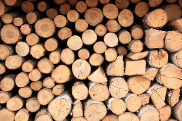 積まれた薪