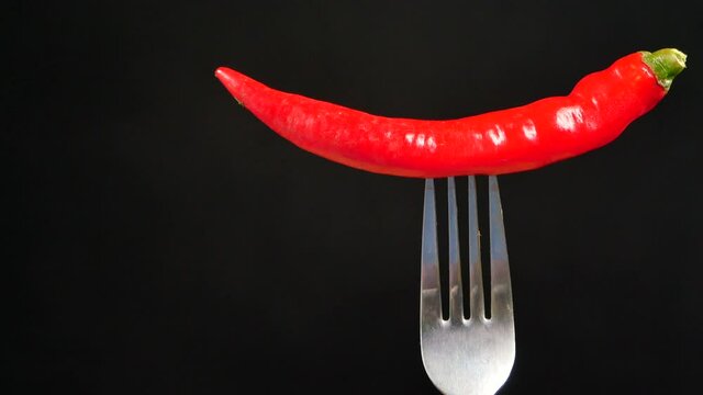 red chili pepper on the fork on black background .