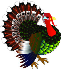 Turkey.