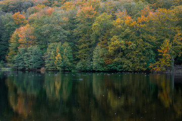 Autumn colors with reflection in the lake.