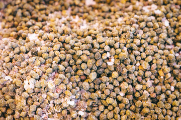 Capers in sea salt at the grocery market (Selective focus)