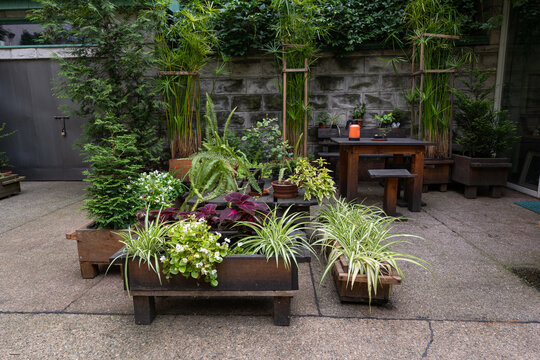 Small Flower Pot Garden In Inner Courtyard