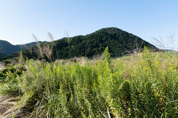 A view of an agricultural village deep in the mountains of Japan, taken on a clear day