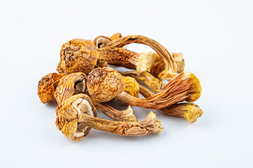 Wild matsutake dried on white background