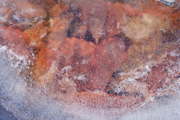 凍りついた落ち葉入りのバードバスの水