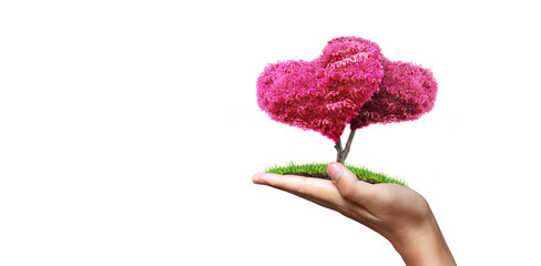 Hands holding sprout young plant.environment Earth Day In the hands of trees growing seedlings