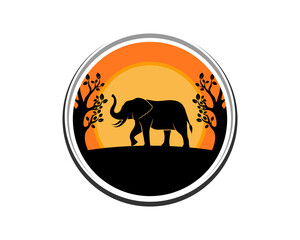 Walking elephant with sunset scenery behind