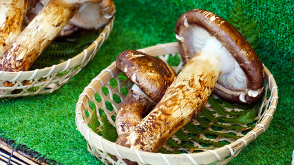 秋の味覚　籐網の籠に入れられた大振りの松茸