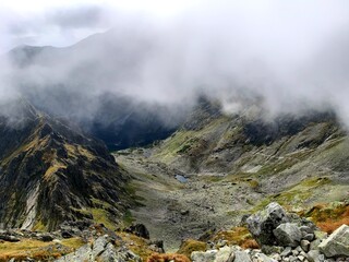 fog in the mountains
