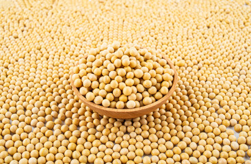 Full screen of golden soybeans