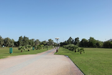 golf course in the morning  Dubai 2014