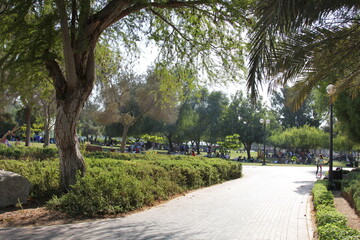 path in the park  Dubai 2014