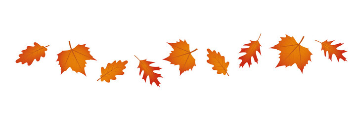 set of autumn leaves in the wind on white background vector illustration EPS10