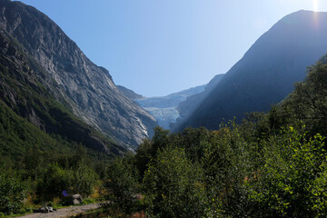 Fototapeta na wymiar Ein Gletscher in Norwegen mit Wald im Verdergrund