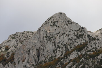 Las Salas. León. Castilla y León. 
