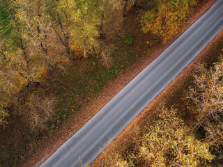 Road in autumn forest, aerial view
