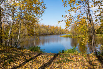 Fototapeta na wymiar September landscape near the forest lake in the autumn day