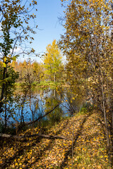 September landscape near the forest lake in the autumn day