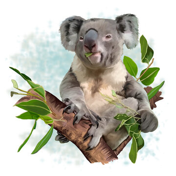 Dipinto di un carino koala che mangia foglie di eucalipto