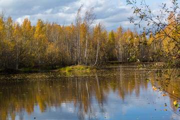 Fototapeta na wymiar September landscape near the forest lake in the autumn day