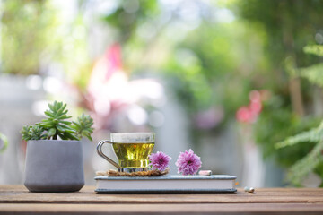 Green tea in transparent glass with flower and succulent plant pot with notebook on wooden table at outdoor
