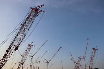 クレーンの大群