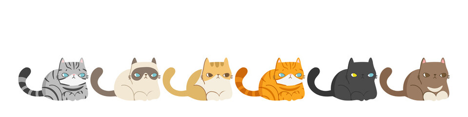 Set of different cats breeds in the same poses, Isolated on white background. Character design. Vector illustration, Cartoon doodle style.