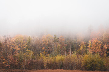 Naklejka na ściany i meble Fog and autumn colors in Andover, Maine