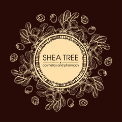 Frame with branch Shea tree with fruits, nuts, leaves and Shea butter. Detailed hand-drawn sketches, vector botanical illustration. For cosmetics, medicine, aromatherapy.