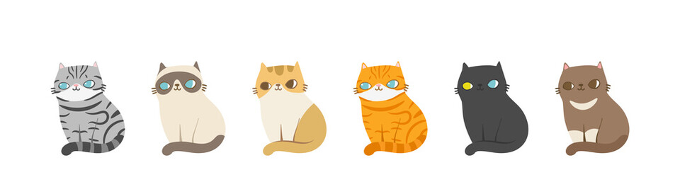 Set of different cats breeds in the same poses, Isolated on white background. Character design. Vector illustration, Cartoon doodle style.