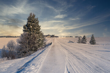 Obraz premium Road through the rural winter landscape of Prince Edward Island, Canada.