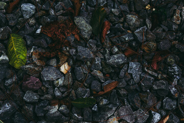Small pebbles or stone and dry leaf for background. in dark tone.