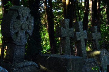 old cemetery in the woods