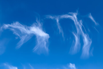 Stunning cirrus cloud formation panorama in a deep blue sky
